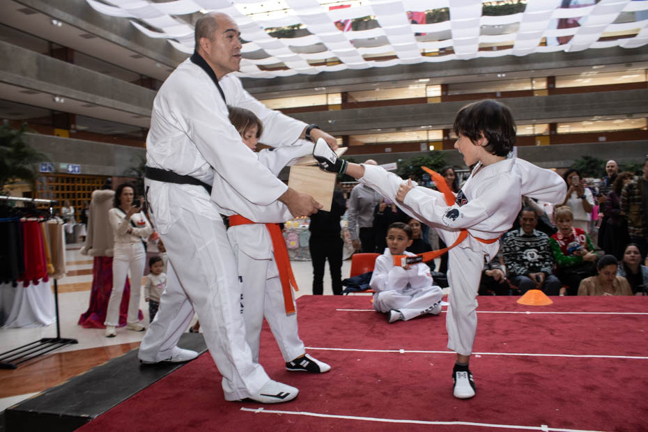 Ir a la Siguiente Foto