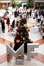 12112024bazar2024139.jpg