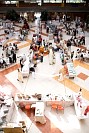 12112024bazar2024162.jpg