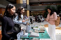 12112024bazar2024310.jpg