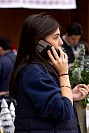 13112024bazar2024488.jpg