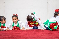 13112024bazar2024587.jpg