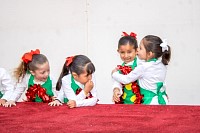 13112024bazar2024588.jpg