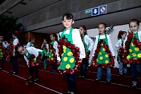 13112024bazar2024735.jpg