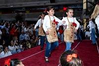 13112024bazar2024786.jpg