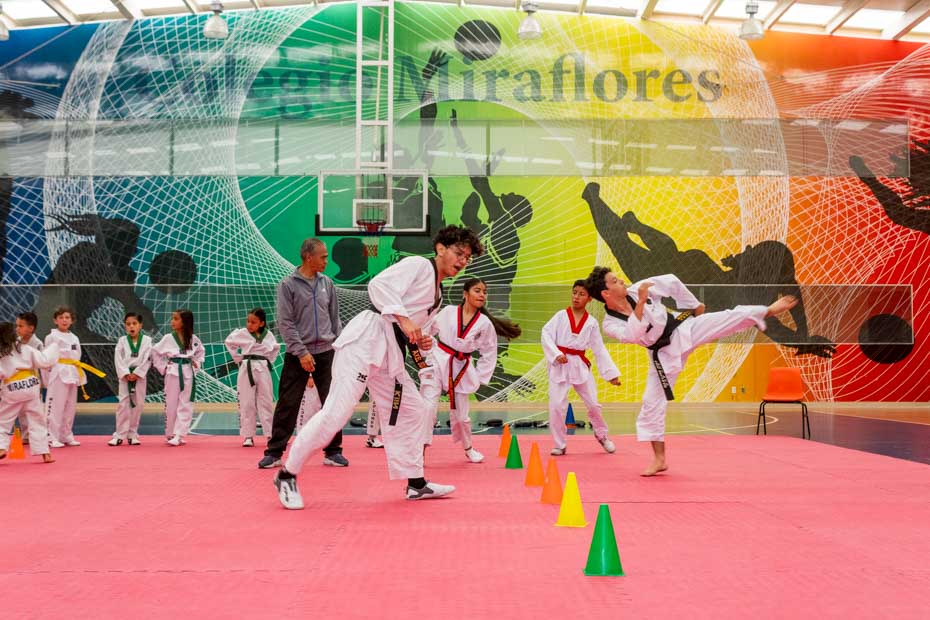 Ir a la Siguiente Foto