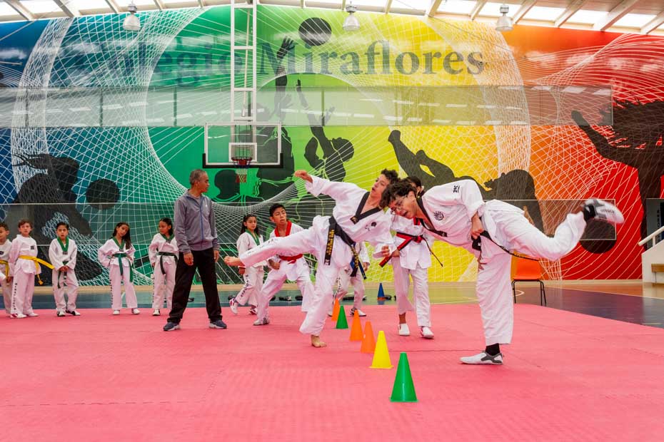 Ir a la Siguiente Foto