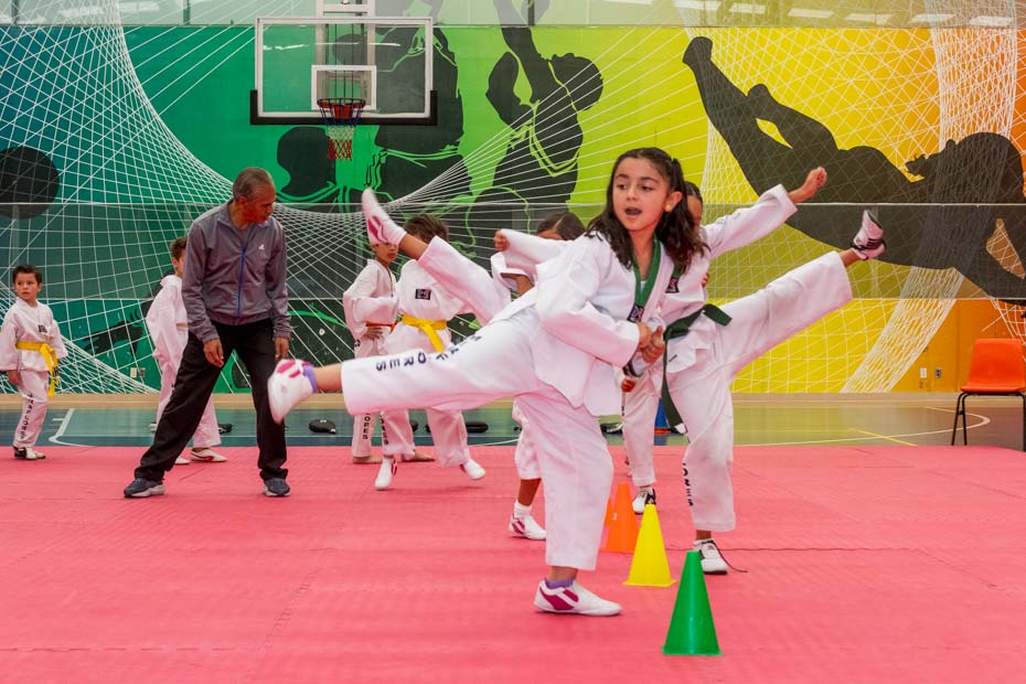 Ir a la Siguiente Foto