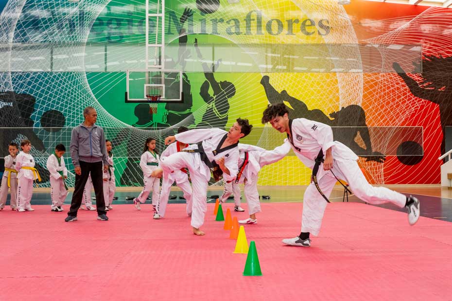 Ir a la Siguiente Foto