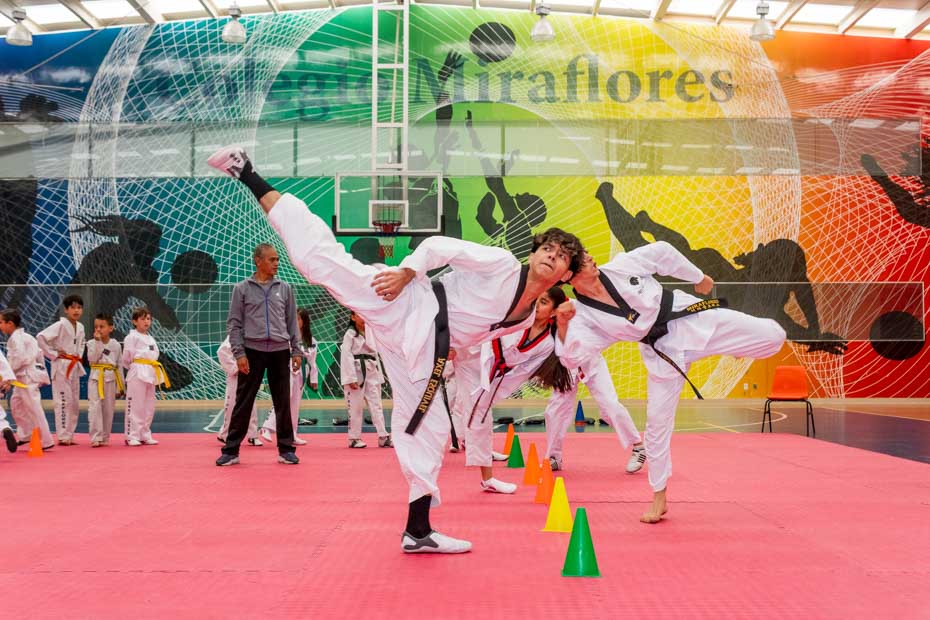 Ir a la Siguiente Foto