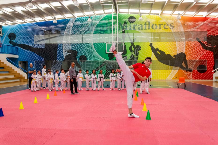 Ir a la Siguiente Foto