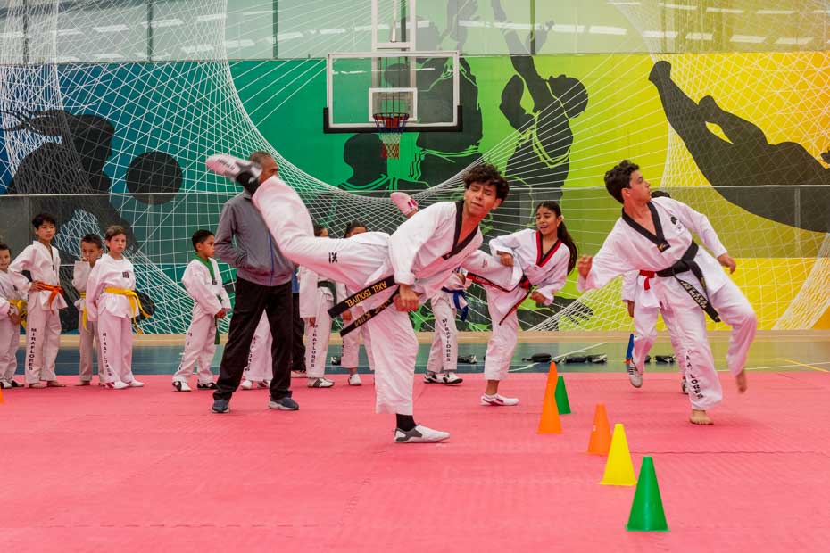 Ir a la Siguiente Foto