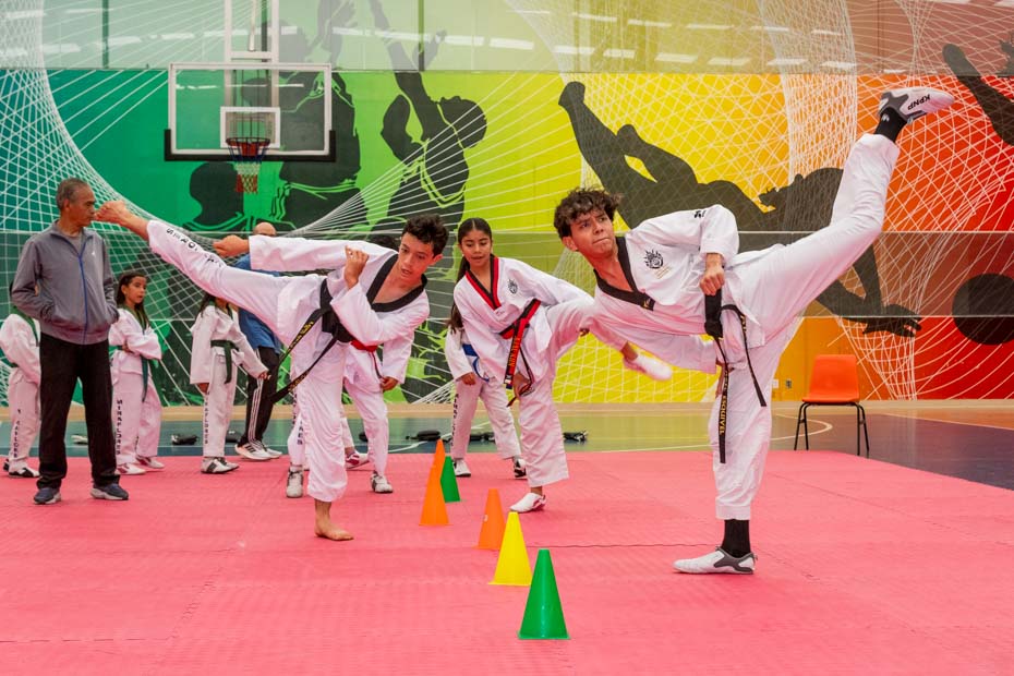 Ir a la Siguiente Foto