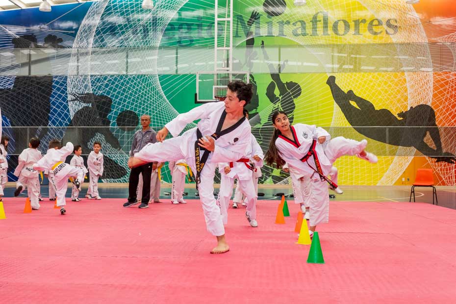 Ir a la Siguiente Foto