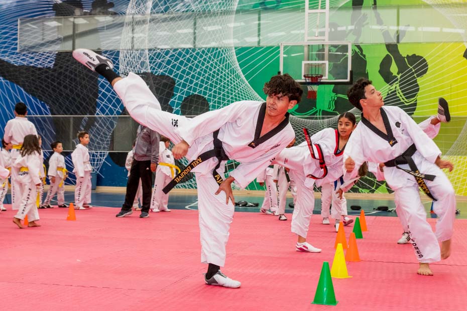 Ir a la Siguiente Foto