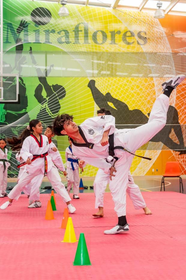 Ir a la Siguiente Foto