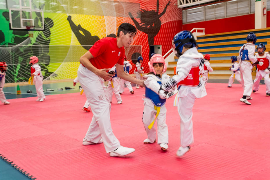 Ir a la Siguiente Foto