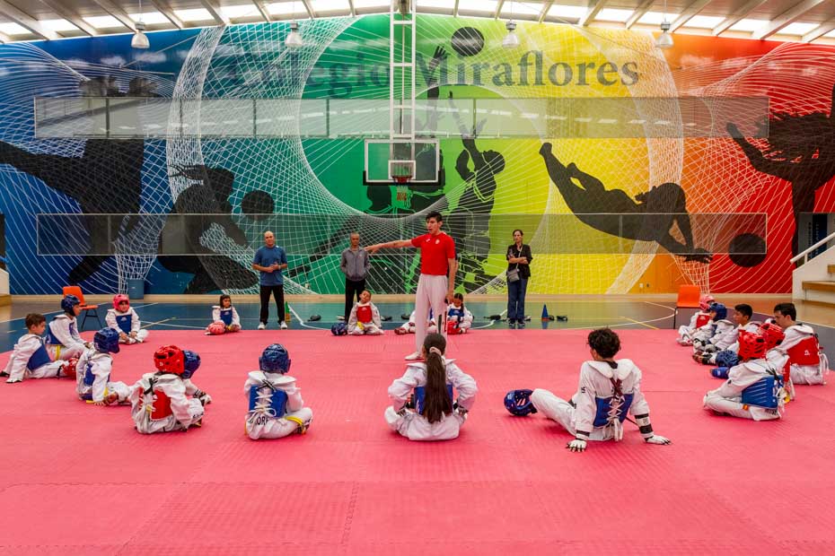 Ir a la Siguiente Foto