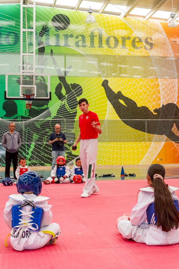 Ir a la Siguiente Foto