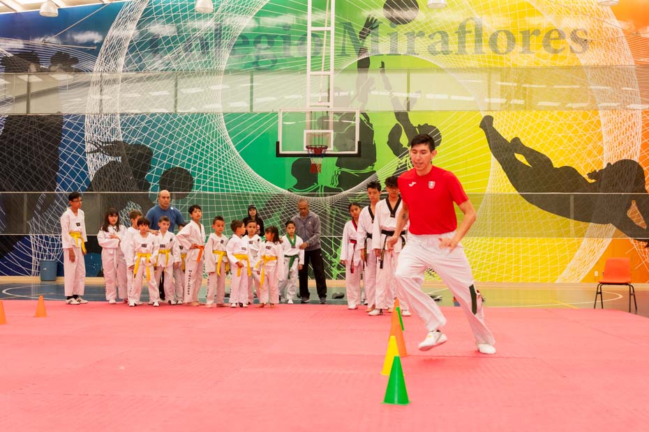 Ir a la Siguiente Foto