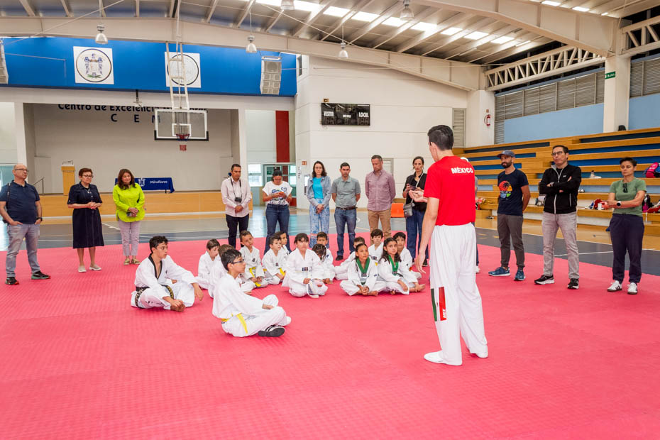 Ir a la Siguiente Foto