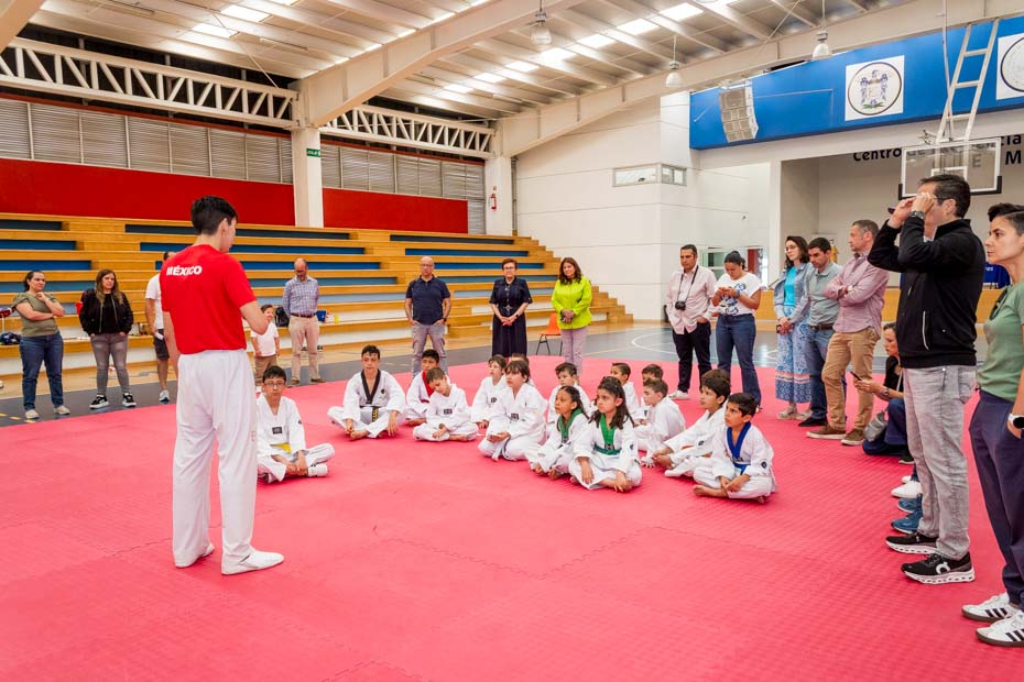 Ir a la Siguiente Foto