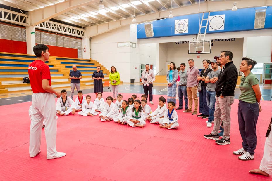 Ir a la Siguiente Foto