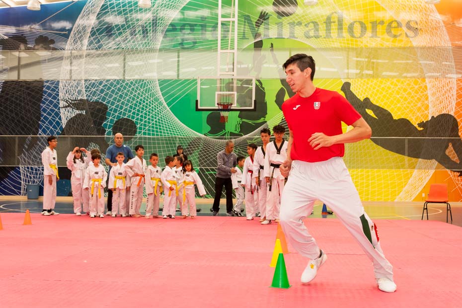 Ir a la Siguiente Foto