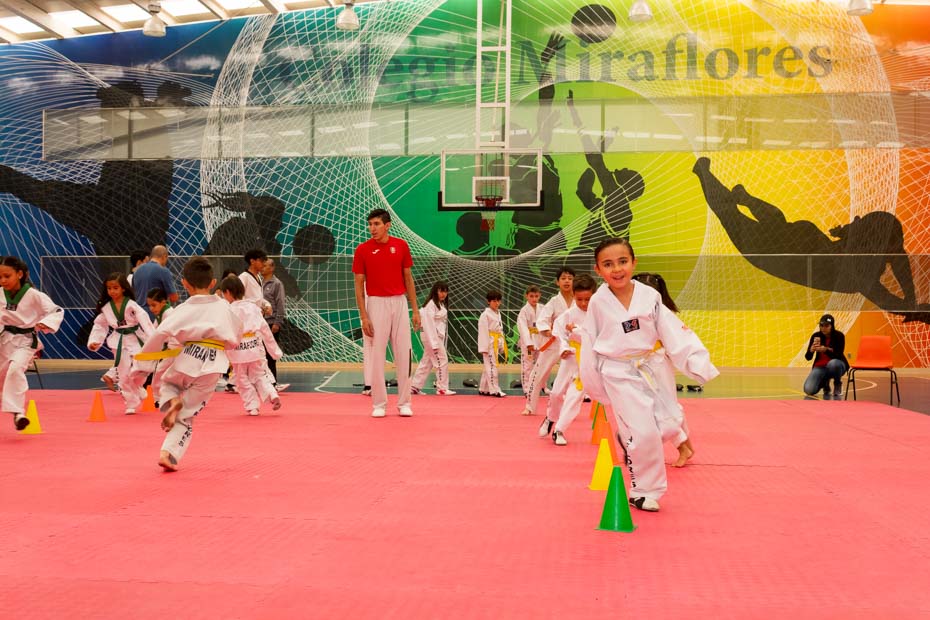 Ir a la Siguiente Foto