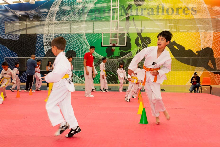 Ir a la Siguiente Foto