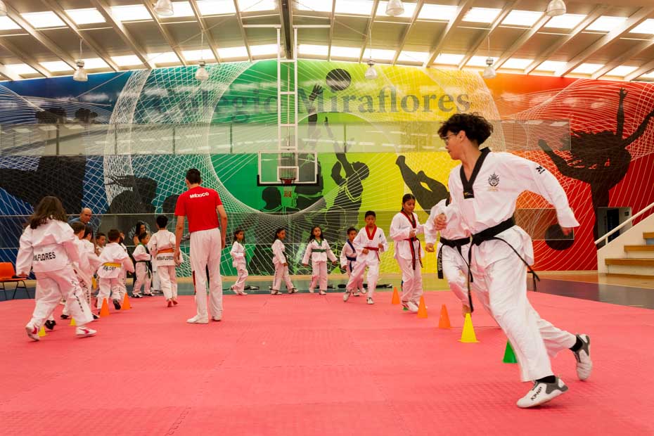 Ir a la Siguiente Foto