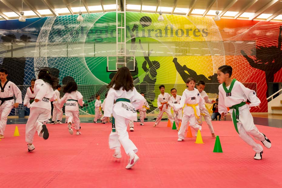 Ir a la Siguiente Foto