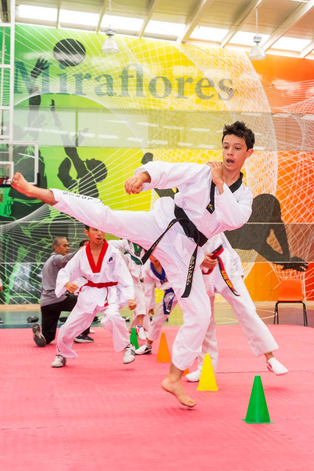 Ir a la Siguiente Foto