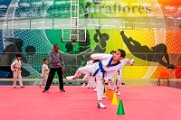 07062025clase_especial_taekwondo2025118.jpg