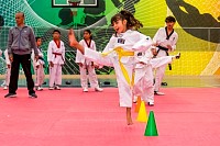 07062025clase_especial_taekwondo2025149.jpg