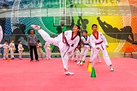 07062025clase_especial_taekwondo2025156.jpg