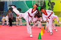 07062025clase_especial_taekwondo2025163.jpg