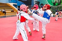 07062025clase_especial_taekwondo2025258.jpg