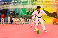 07062025clase_especial_taekwondo202531.jpg