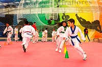 07062025clase_especial_taekwondo202535.jpg