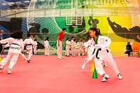 07062025clase_especial_taekwondo202536.jpg