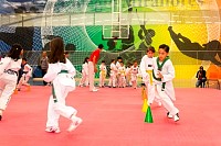 07062025clase_especial_taekwondo202537.jpg