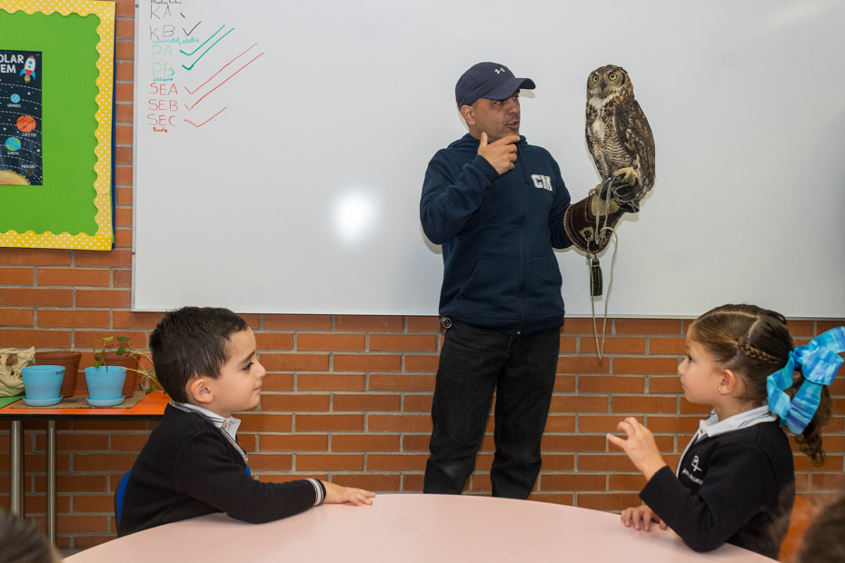 Ir a la Siguiente Foto