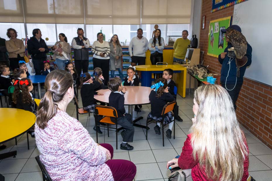 Ir a la Siguiente Foto