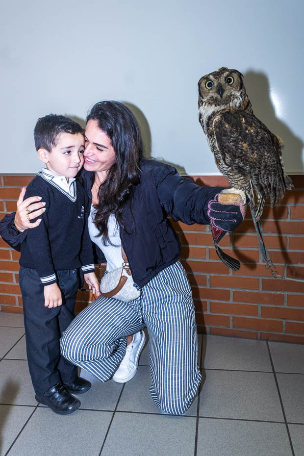 Ir a la Siguiente Foto