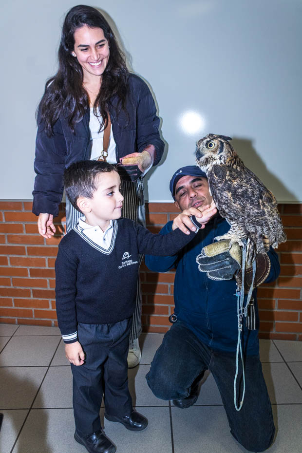 Ir a la Siguiente Foto