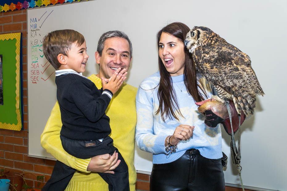 Ir a la Siguiente Foto