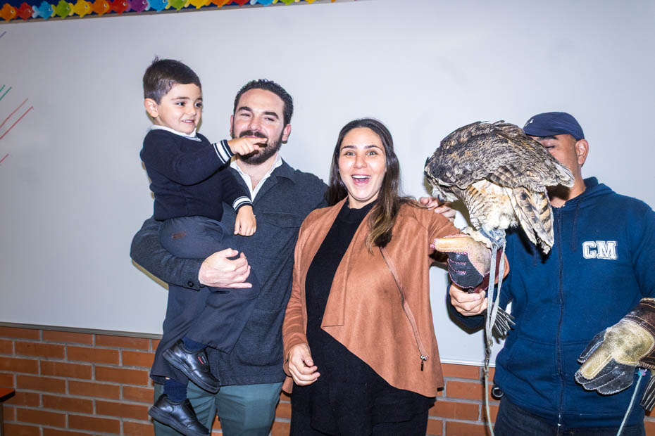 Ir a la Siguiente Foto