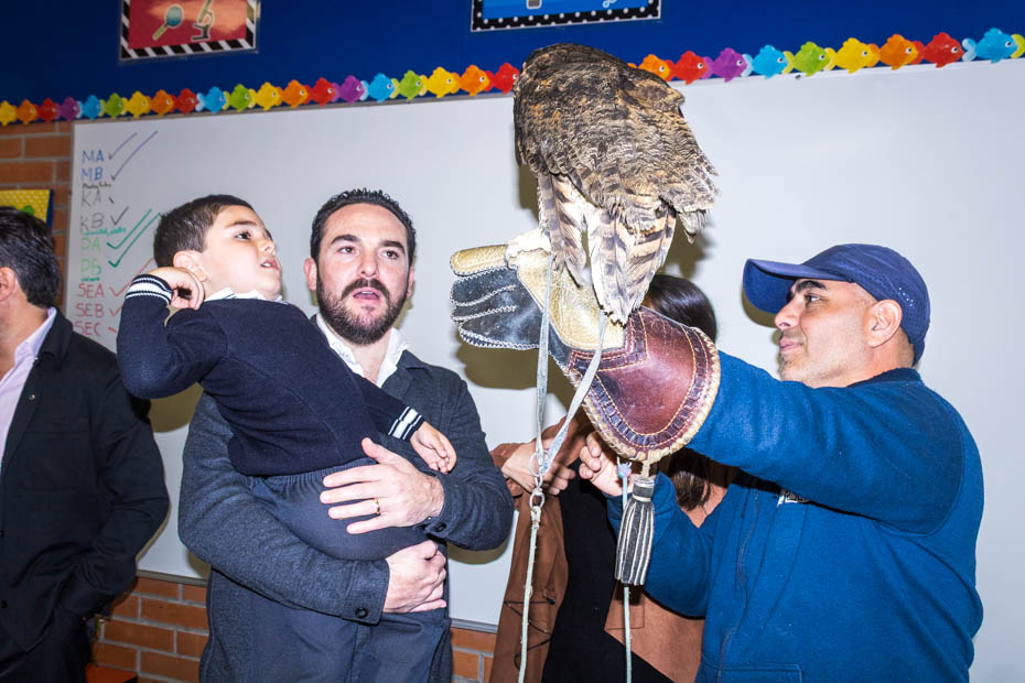 Ir a la Siguiente Foto