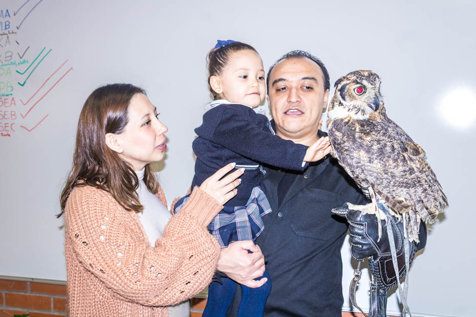 Ir a la Siguiente Foto